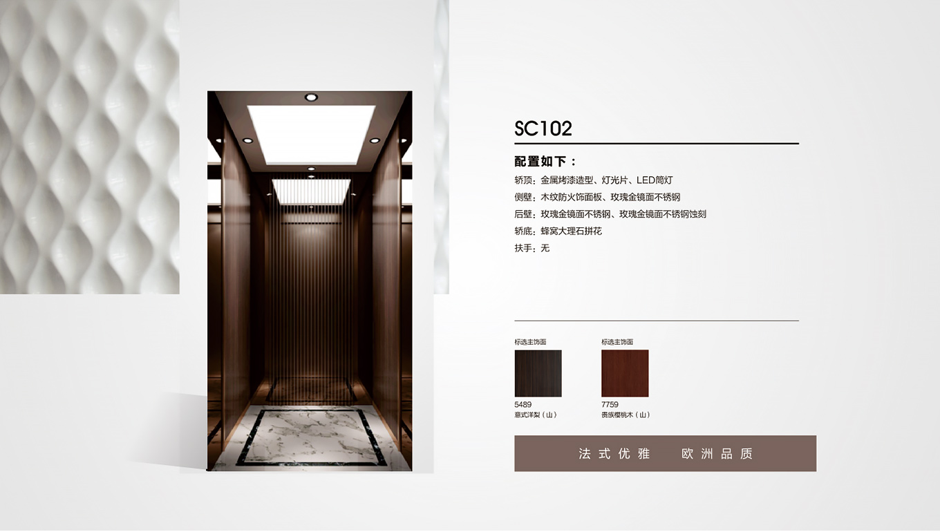 賽拿家用電梯