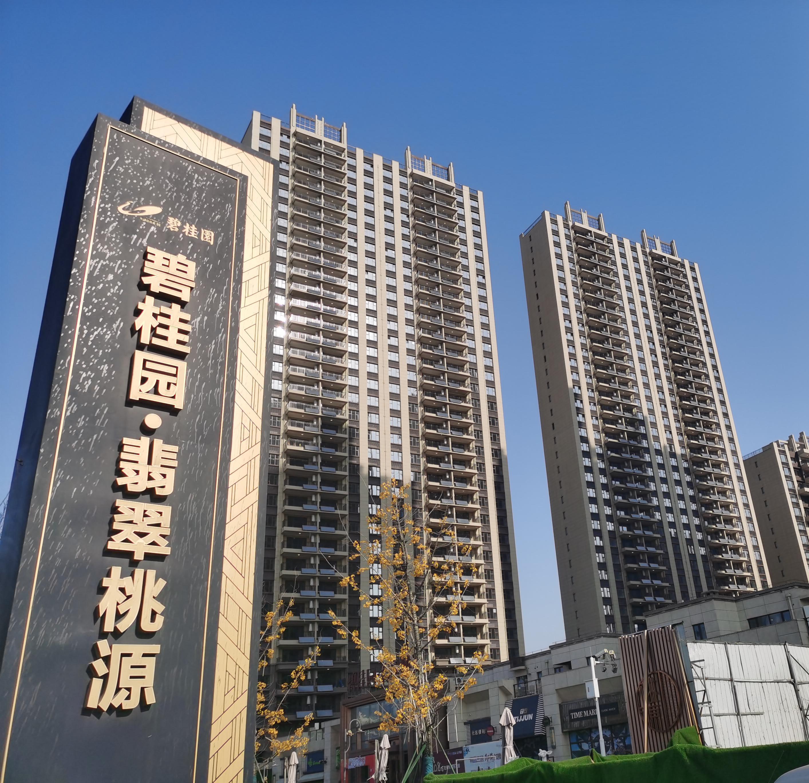 日照碧桂園